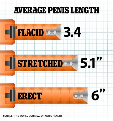 johnny sins penis size|Comparing The Average Penis Size And Pornstar Penis Size (2024)